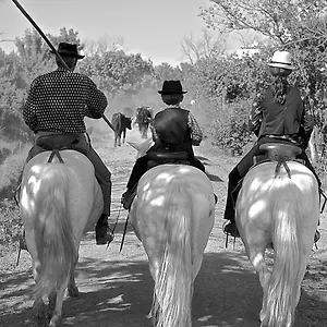 **** Couette-café Mas Du Menage En Camargue Manade Clauzel France